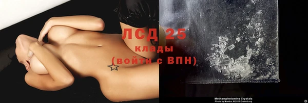 хмурый Нея