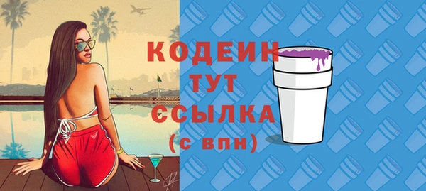 хмурый Нея